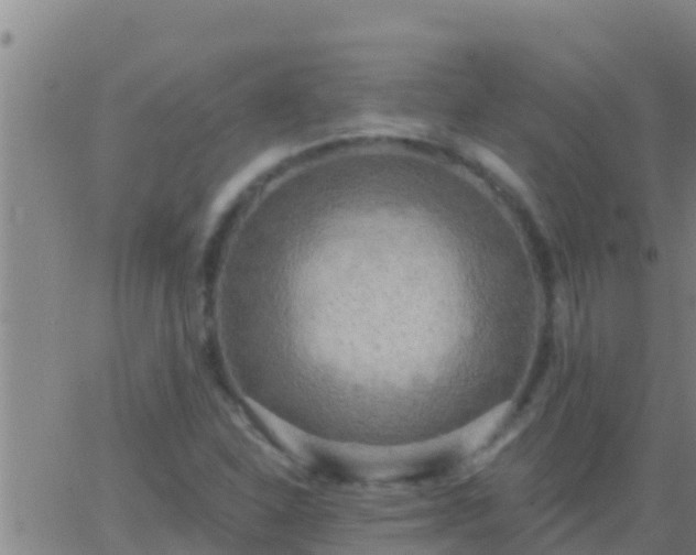 X0000063531310200601271851