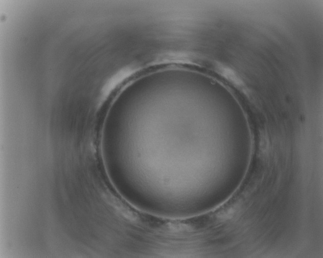 X0000063531312200601271851