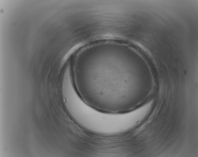 X0000063531314200601271851