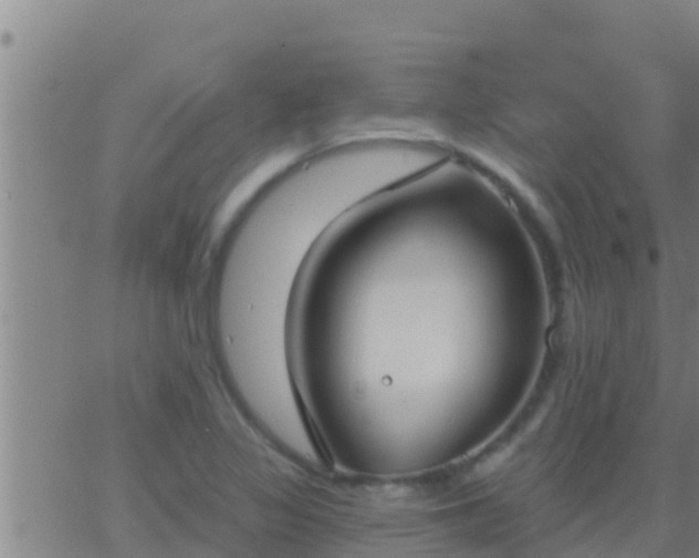 X0000063531317200601271851