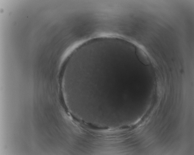 X0000063531319200601271851