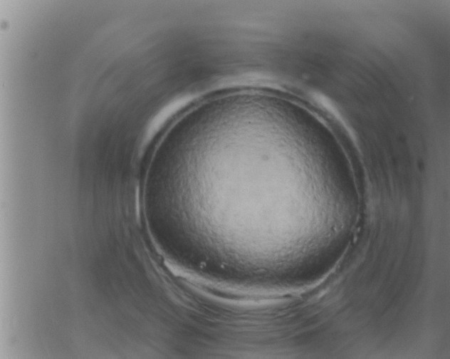 X0000063531320200601271851