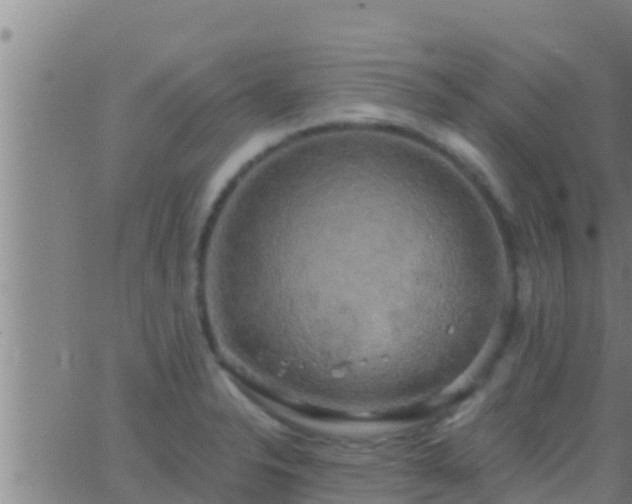 X0000063531326200601271851