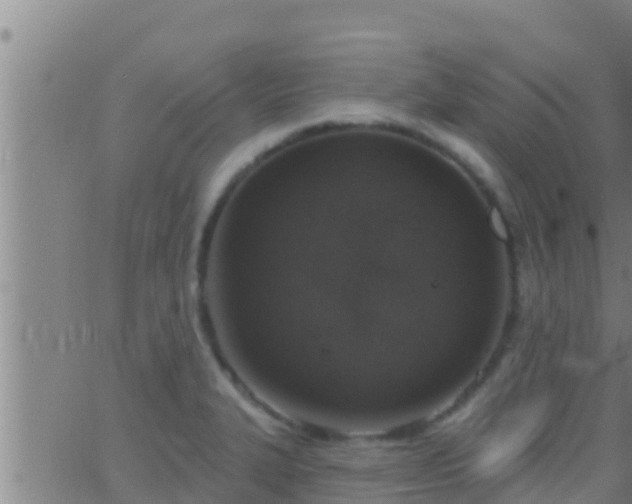 X0000063531327200601271851