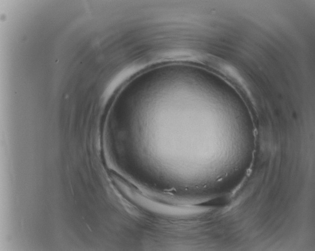 X0000063531328200601271851