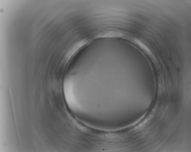 X0000063531329200601271851