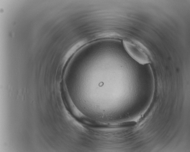 X0000063531330200601271851