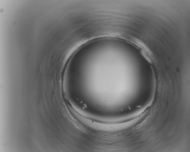 X0000063531332200601271851