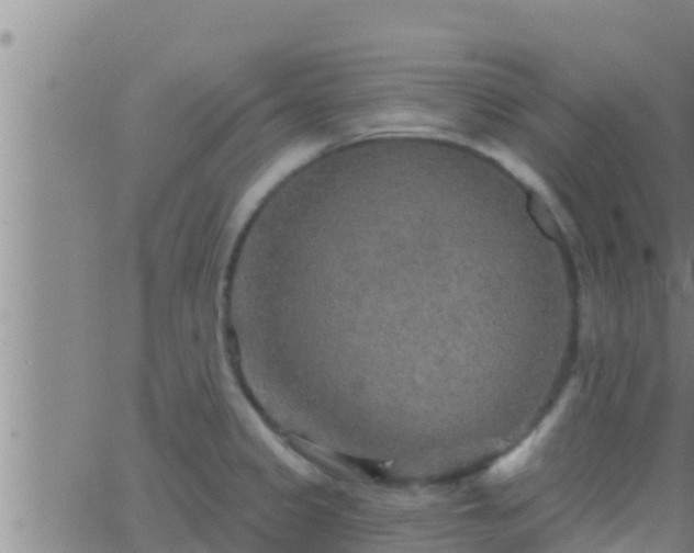 X0000063531333200601271851