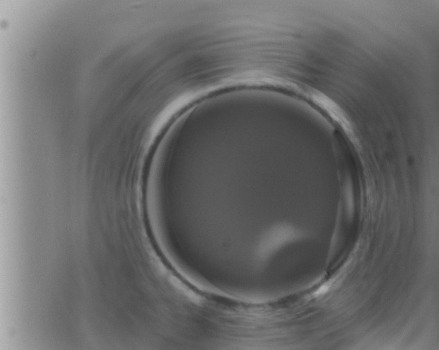 X0000063531334200601271851