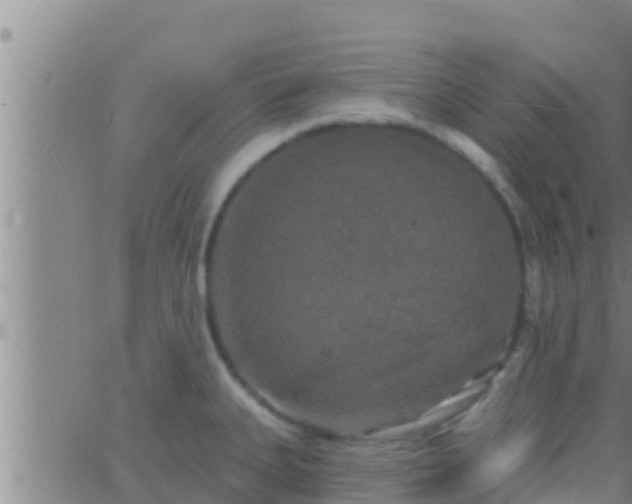 X0000063531335200601271851