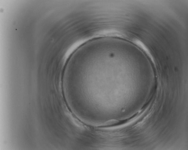 X0000063531336200601271851