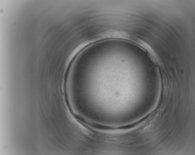 X0000063531339200601271851