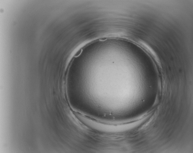 X0000063531340200601271851