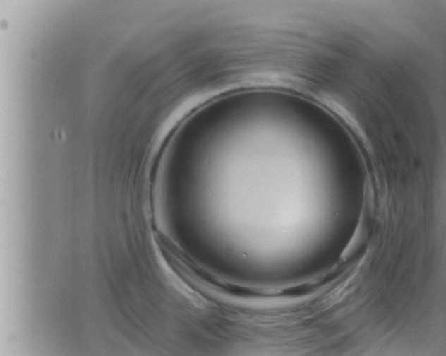 X0000063531342200601271851