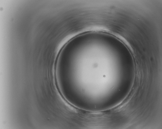 X0000063531343200601271851