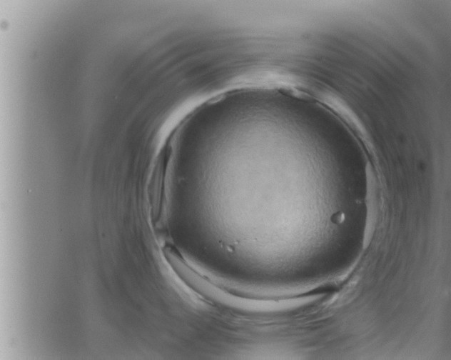 X0000063531344200601271851