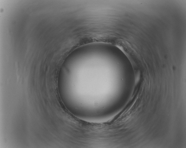 X0000063531345200601271851