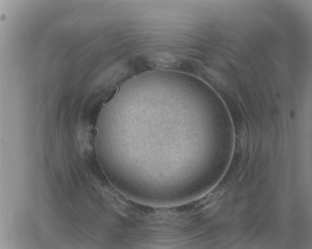 X0000063531346200601271851