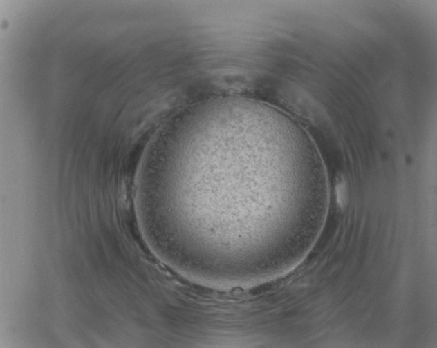 X0000063531347200601271851