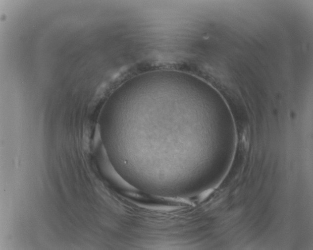 X0000063531348200601271851