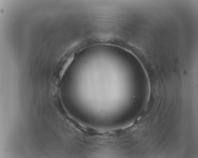 X0000063531349200601271851