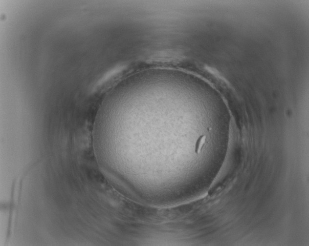 X0000063531350200601271851