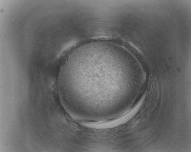 X0000063531351200601271851