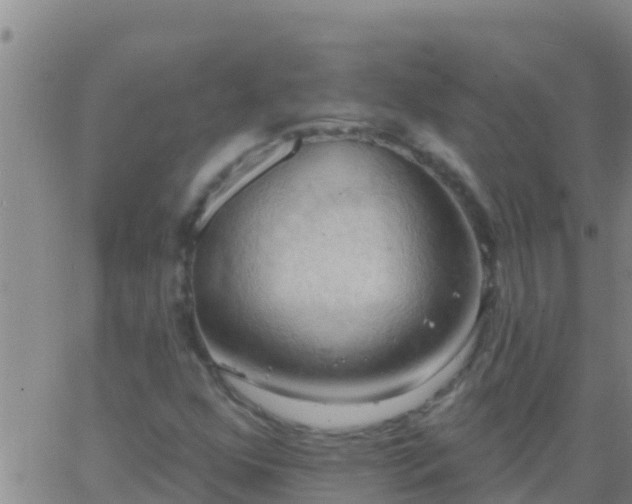 X0000063531352200601271851