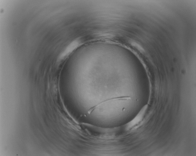 X0000063531354200601271850