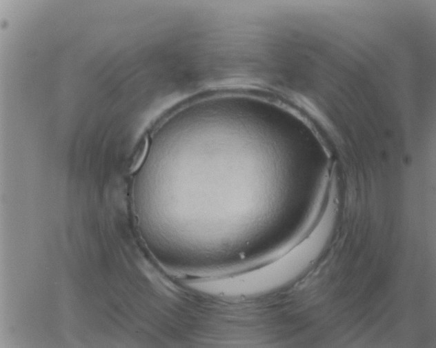 X0000063531356200601271850