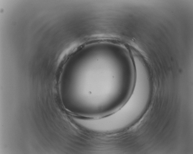 X0000063531357200601271850