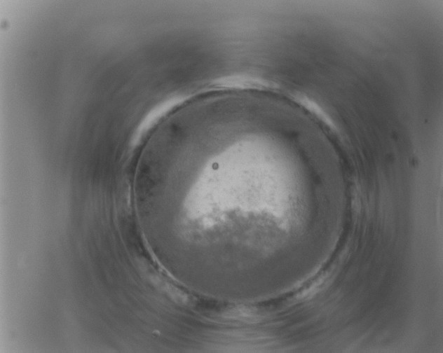 X0000063531358200601271850