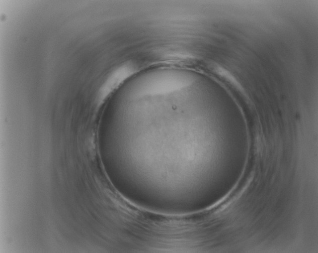 X0000063531362200601271850