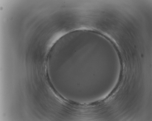 X0000063531367200601271850