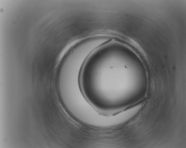 X0000063531368200601271850