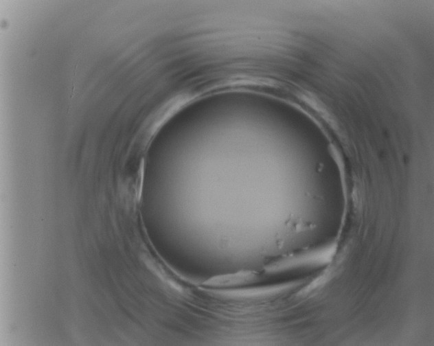 X0000063531369200601271850