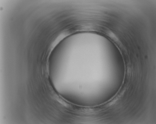 X0000063531370200601271850