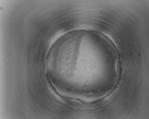 X0000063531371200601271850