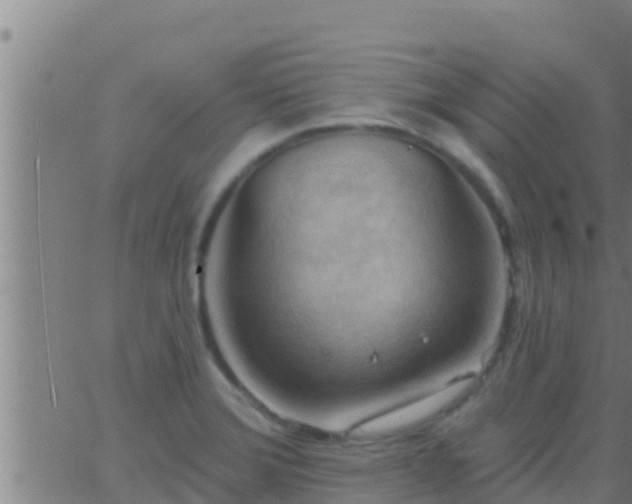 X0000063531372200601271850