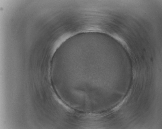 X0000063531374200601271850