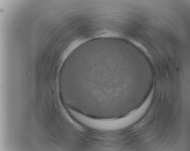 X0000063531375200601271850