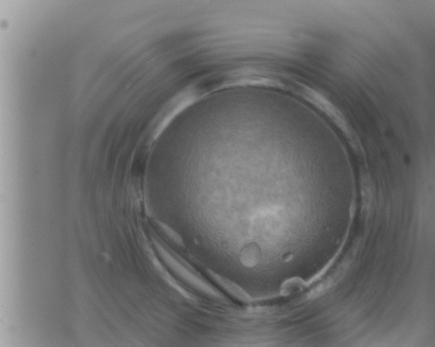 X0000063531377200601271850