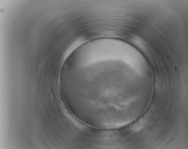 X0000063531378200601271850