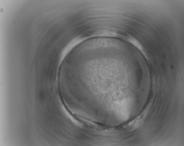 X0000063531379200601271850