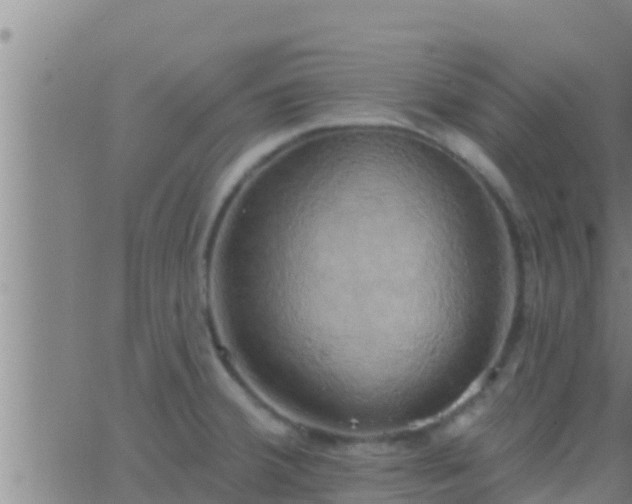 X0000063531380200601271850