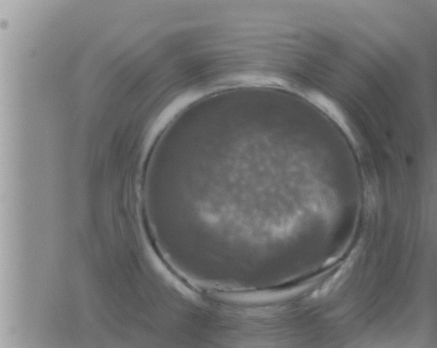 X0000063531381200601271850