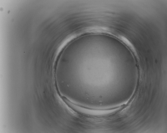 X0000063531384200601271850