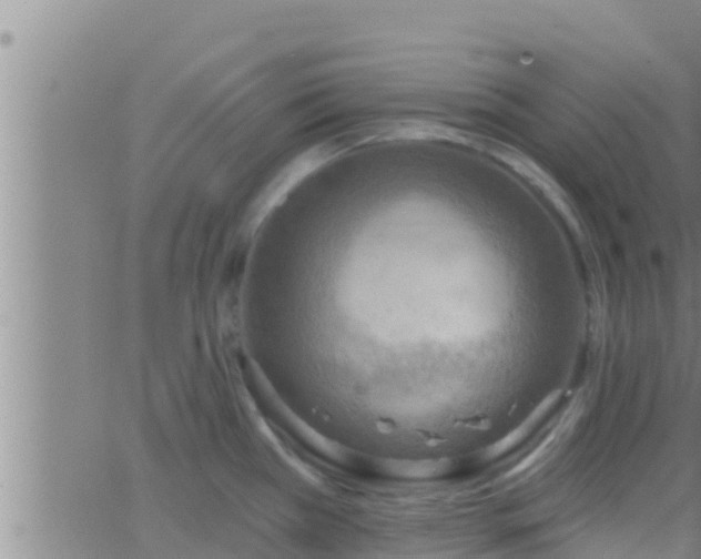 X0000063531385200601271850