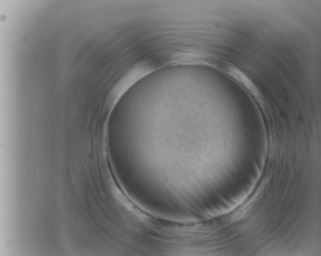 X0000063531386200601271850